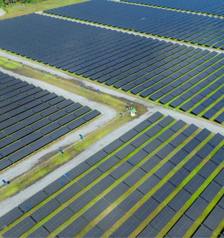 Agri-Photovoltaik (Agri-PV) mit MAXX SOLAR Agri-Photovoltaik (Agri-PV) mit MAXX SOLAR