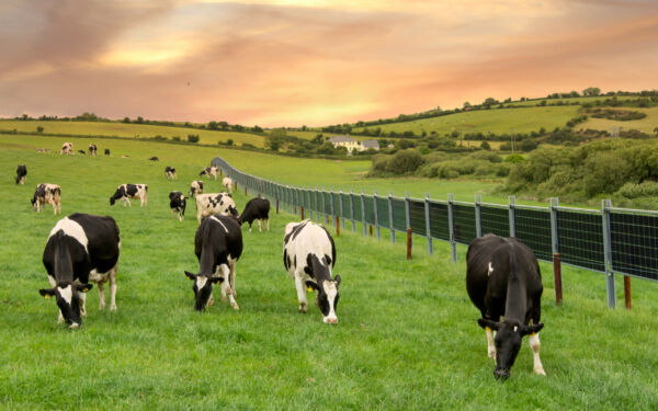 Solarzaun von MAXX SOLAR Solarzaun von MAXX SOLAR