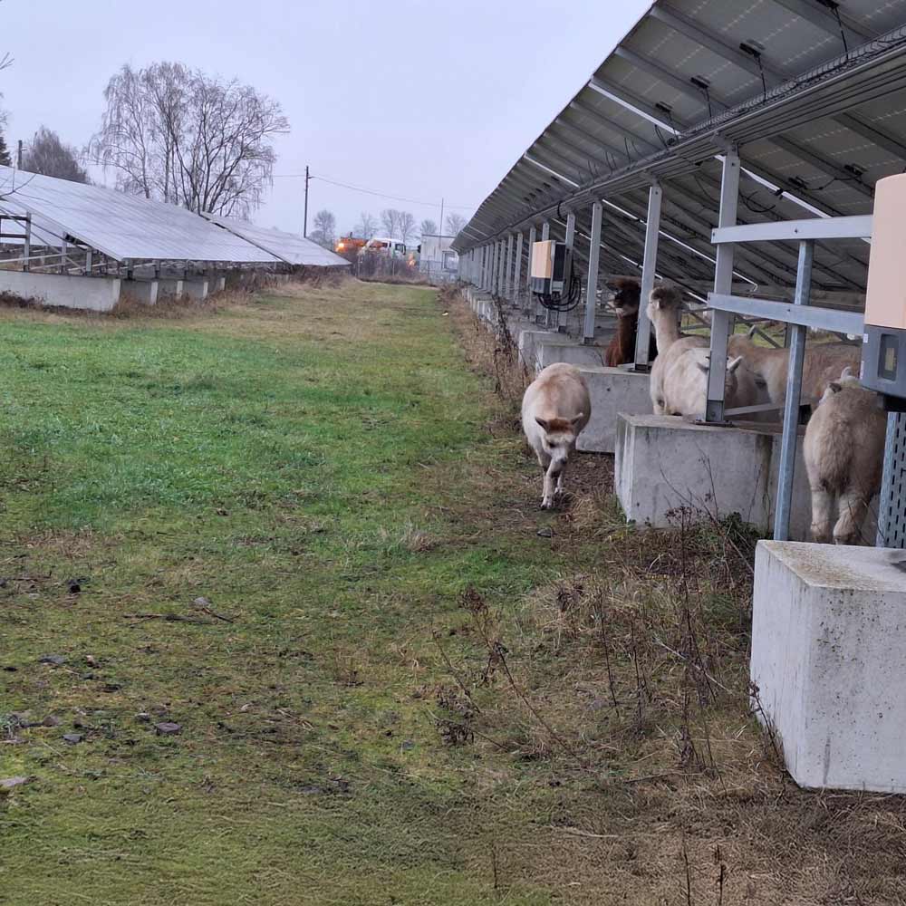 Ihr Solarpark in besten Händen bei MAXX SOLAR & ENERGIE